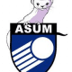 Logo U13 F